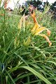 IMG_4672 (Medium)